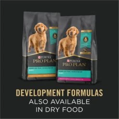 Purina Pro Plan Development Puppy Chicken & Rice Entree Canned Dog Food -Blue Buffalo Shop 67446 PT6. AC SS1800 V1689791970
