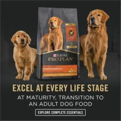 Purina Pro Plan Development Puppy Chicken & Rice Entree Canned Dog Food -Blue Buffalo Shop 67446 PT7. AC SS1800 V1689791335