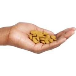 Purina Pro Plan High Protein Chicken & Rice Formula Large Breed Dry Puppy Food -Blue Buffalo Shop 67488 PT4. AC SS1800 V1683575898