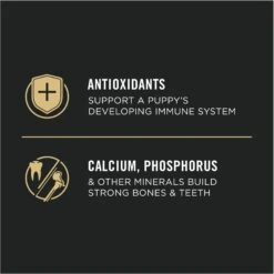 Purina Pro Plan High Protein Chicken & Rice Formula Large Breed Dry Puppy Food -Blue Buffalo Shop 67488 PT7. AC SS1800 V1683575011