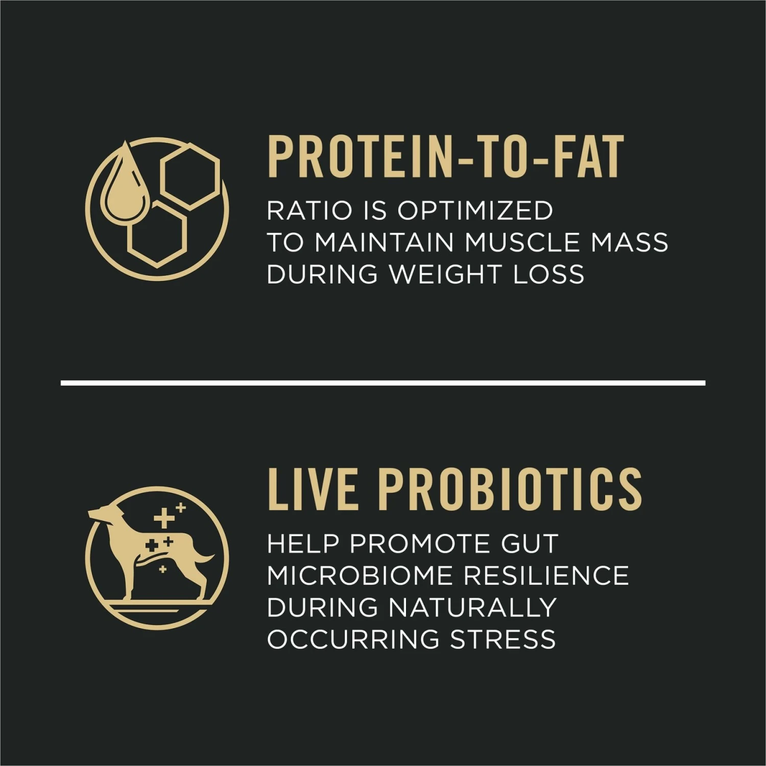 Purina Pro Plan Adult Weight Management Shredded Blend Chicken & Rice Formula Dry Dog Food 6 Purina Pro Plan Adult Weight Management Shredded Blend Chicken & Rice Formula Dry Dog Food - Image 4