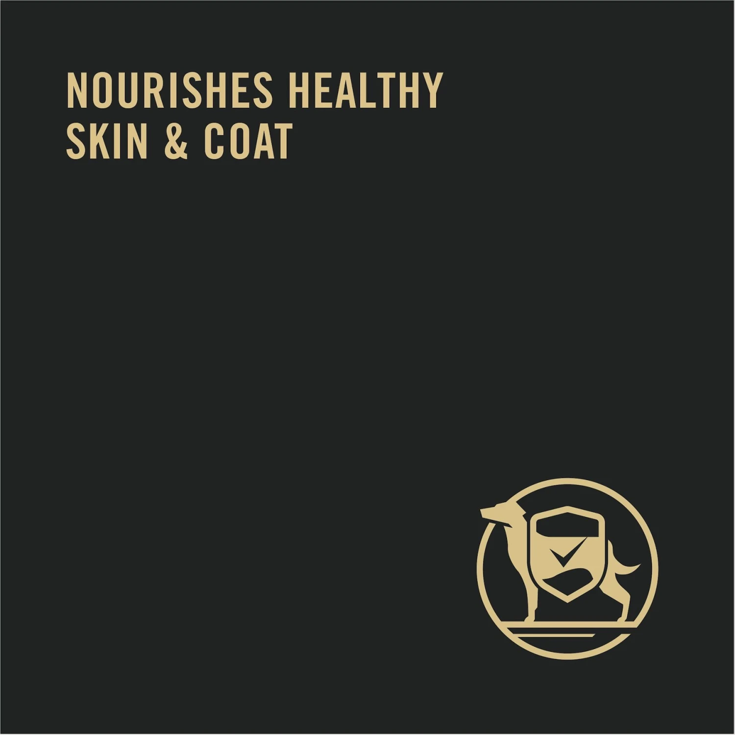 Purina Pro Plan Adult Shredded Beef & Lamb Entree In Gravy Canned Dog Food 8 Purina Pro Plan Adult Shredded Beef & Lamb Entree In Gravy Canned Dog Food - Image 6