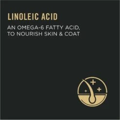 Purina Pro Plan Focus Adult Urinary Tract Health Formula Dry Cat Food -Blue Buffalo Shop 67902 PT5. AC SS1800 V1642471587
