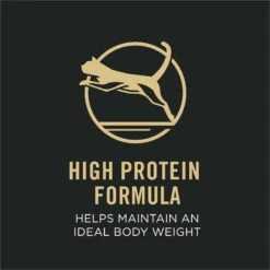 Purina Pro Plan Focus Adult Indoor Care Salmon & Rice Entree In Sauce Canned Cat Food -Blue Buffalo Shop 67915 PT2. AC SS1800 V1669672511