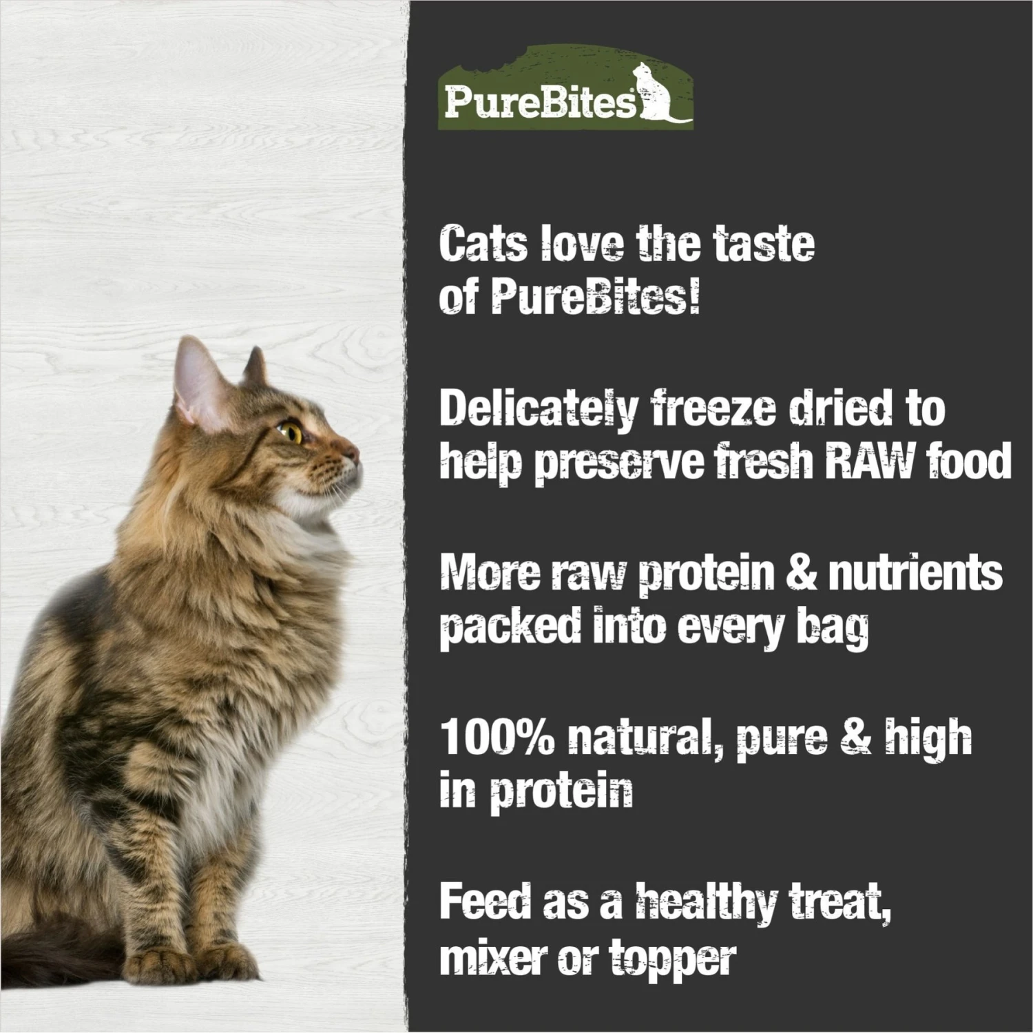 PureBites Beef Liver Freeze-Dried Raw Cat Treats 7 PureBites Beef Liver Freeze-Dried Raw Cat Treats - Image 5