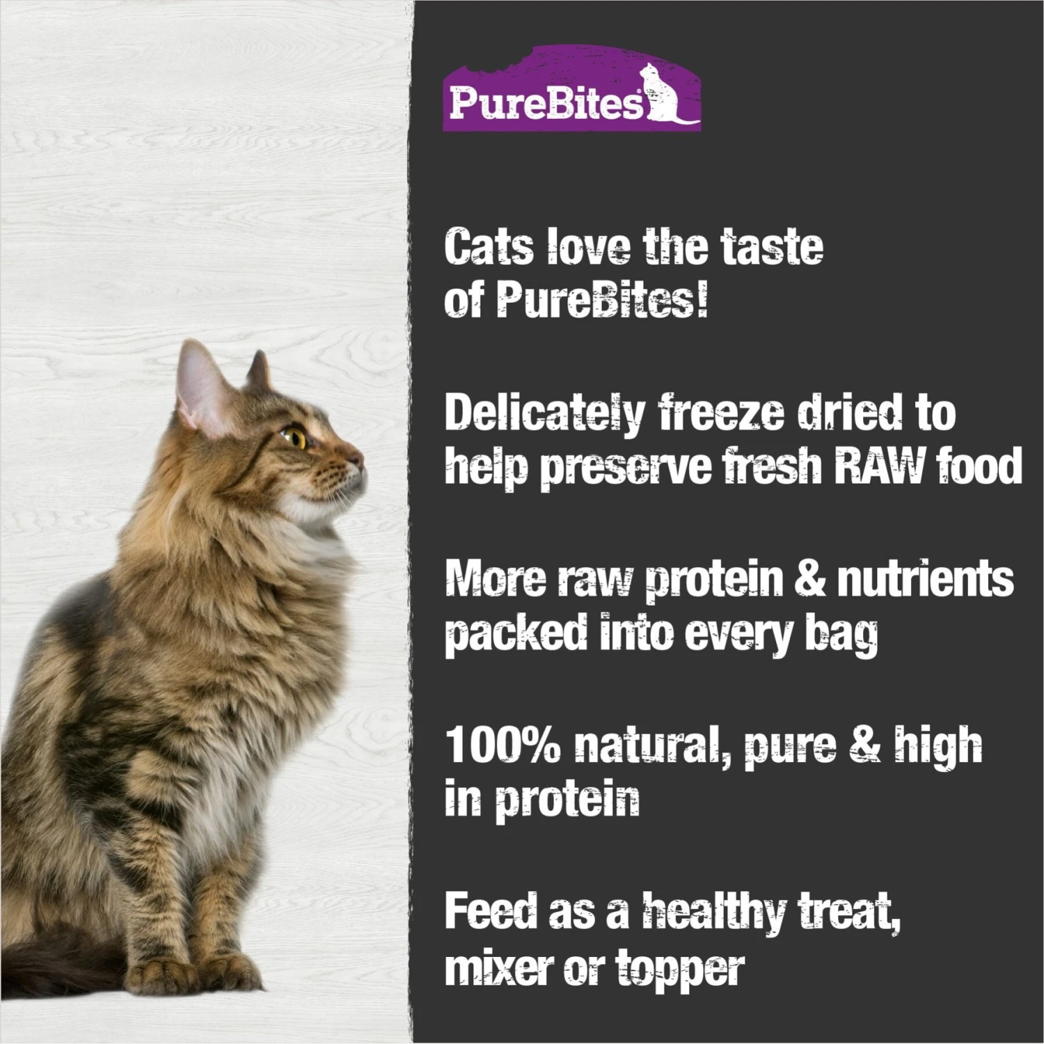 PureBites Ocean Whitefish Freeze-Dried Raw Cat Treats 7 PureBites Ocean Whitefish Freeze-Dried Raw Cat Treats - Image 5