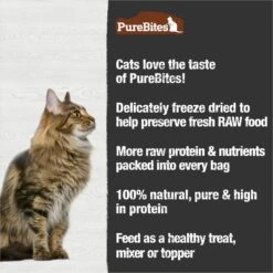 PureBites Turkey Breast Freeze-Dried Raw Cat Treats 13 PureBites Turkey Breast Freeze-Dried Raw Cat Treats -Blue Buffalo Shop 68239 PT4. AC SS1800 V1677619104