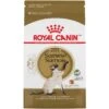 Royal Canin Feline Breed Nutrition Siamese Adult Dry Cat Food 1 Royal Canin Feline Breed Nutrition Siamese Adult Dry Cat Food -Blue Buffalo Shop 68395 MAIN. AC SS1800 V1697755325