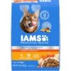 Iams Proactive Health Healthy Enjoyment Immune Support Chicken & Salmon Adult Dry Cat Food 2 Iams Proactive Health Healthy Enjoyment Immune Support Chicken & Salmon Adult Dry Cat Food -Blue Buffalo Shop 690790 MAIN. AC SS1800 V1667344930
