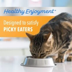 Iams Proactive Health Healthy Enjoyment Immune Support Chicken & Salmon Adult Dry Cat Food -Blue Buffalo Shop 690790 PT3. AC SS1800 V1667342774