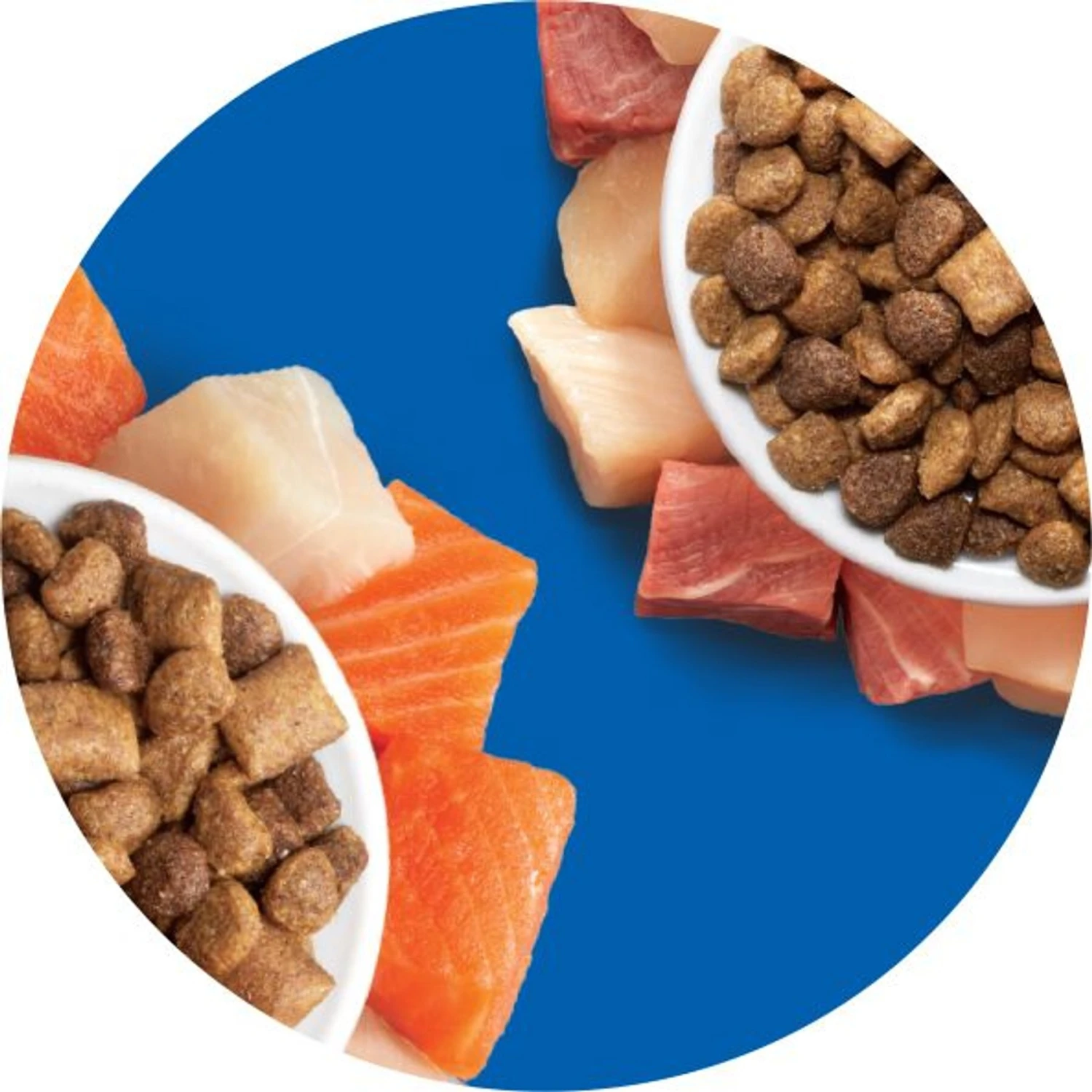 Iams Proactive Health Healthy Enjoyment Immune Support Chicken & Beef Adult Dry Cat Food 11 Iams Proactive Health Healthy Enjoyment Immune Support Chicken & Beef Adult Dry Cat Food - Image 9