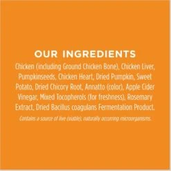 Instinct Freeze-Dried Raw Meals Real Beef Recipe Grain-Free Dog Food & Instinct Freeze-Dried Raw Boost Mixers Grain-Free Gut Health Recipe Dog Food Topper 17 Instinct Freeze-Dried Raw Meals Real Beef Recipe Grain-Free Dog Food & Instinct Freeze-Dried Raw Boost Mixers Grain-Free Gut Health Recipe Dog Food Topper -Blue Buffalo Shop 693526 PT6. AC SS1800 V1669123922