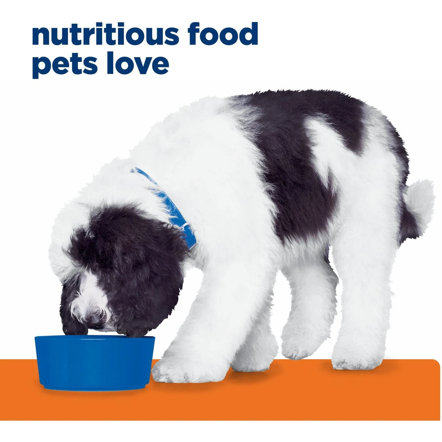 Hill's Prescription Diet C/d Multicare Urinary Care Chicken Flavor Wet Dog Food 6 Hill's Prescription Diet C/d Multicare Urinary Care Chicken Flavor Wet Dog Food - Image 4