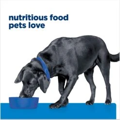 Hill's Prescription Diet D/d Skin/Food Sensitivities Salmon Formula Canned Dog Food 17 Hill's Prescription Diet D/d Skin/Food Sensitivities Salmon Formula Canned Dog Food -Blue Buffalo Shop 69748 PT6. AC SS1800 V1672947916