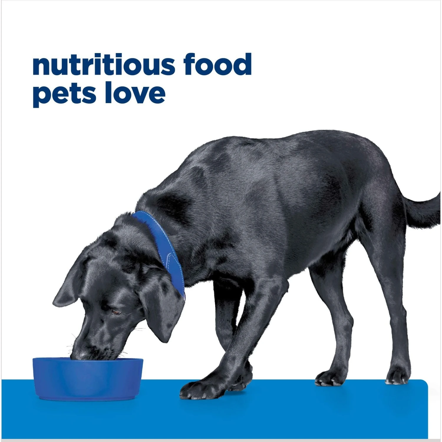 Hill's Prescription Diet D/d Skin/Food Sensitivities Salmon Formula Canned Dog Food 9 Hill's Prescription Diet D/d Skin/Food Sensitivities Salmon Formula Canned Dog Food - Image 7