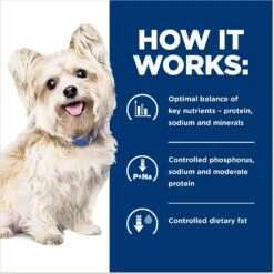 Hill's Prescription Diet G/d Aging Care Turkey Flavor Wet Senior Dog Food -Blue Buffalo Shop 69757 PT5. AC SS1800 V1687986577