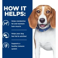 Hill's Prescription Diet R/d Weight Reduction Chicken Flavor Dry Dog Food -Blue Buffalo Shop 69786 PT5. AC SS1800 V1657661020