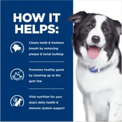 Hill's Prescription Diet T/d Dental Care Chicken Flavor Dry Dog Food -Blue Buffalo Shop 69790 PT3. AC SS1800 V1668653682