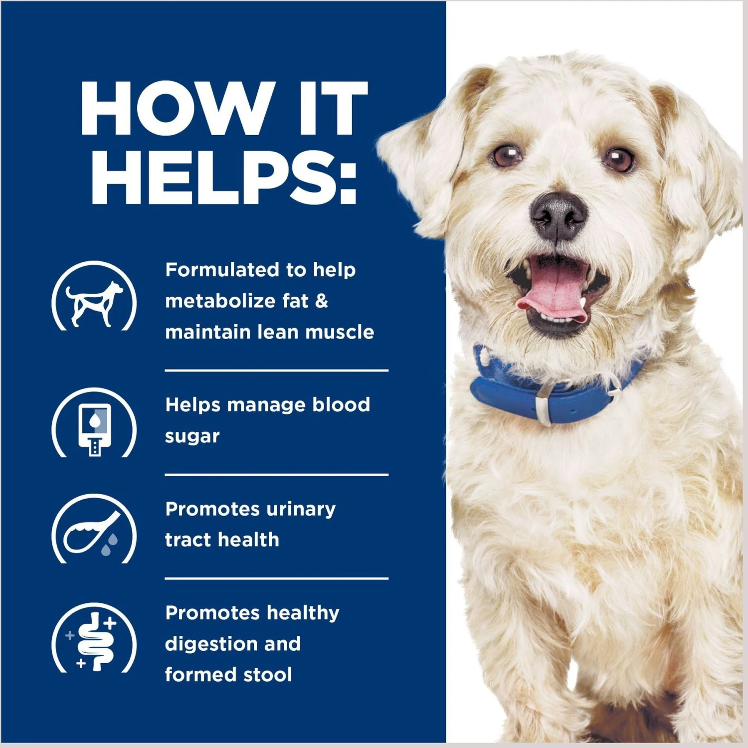 Hill's Prescription Diet W/d Multi-Benefit With Chicken Wet Dog Food 8 Hill's Prescription Diet W/d Multi-Benefit With Chicken Wet Dog Food - Image 6