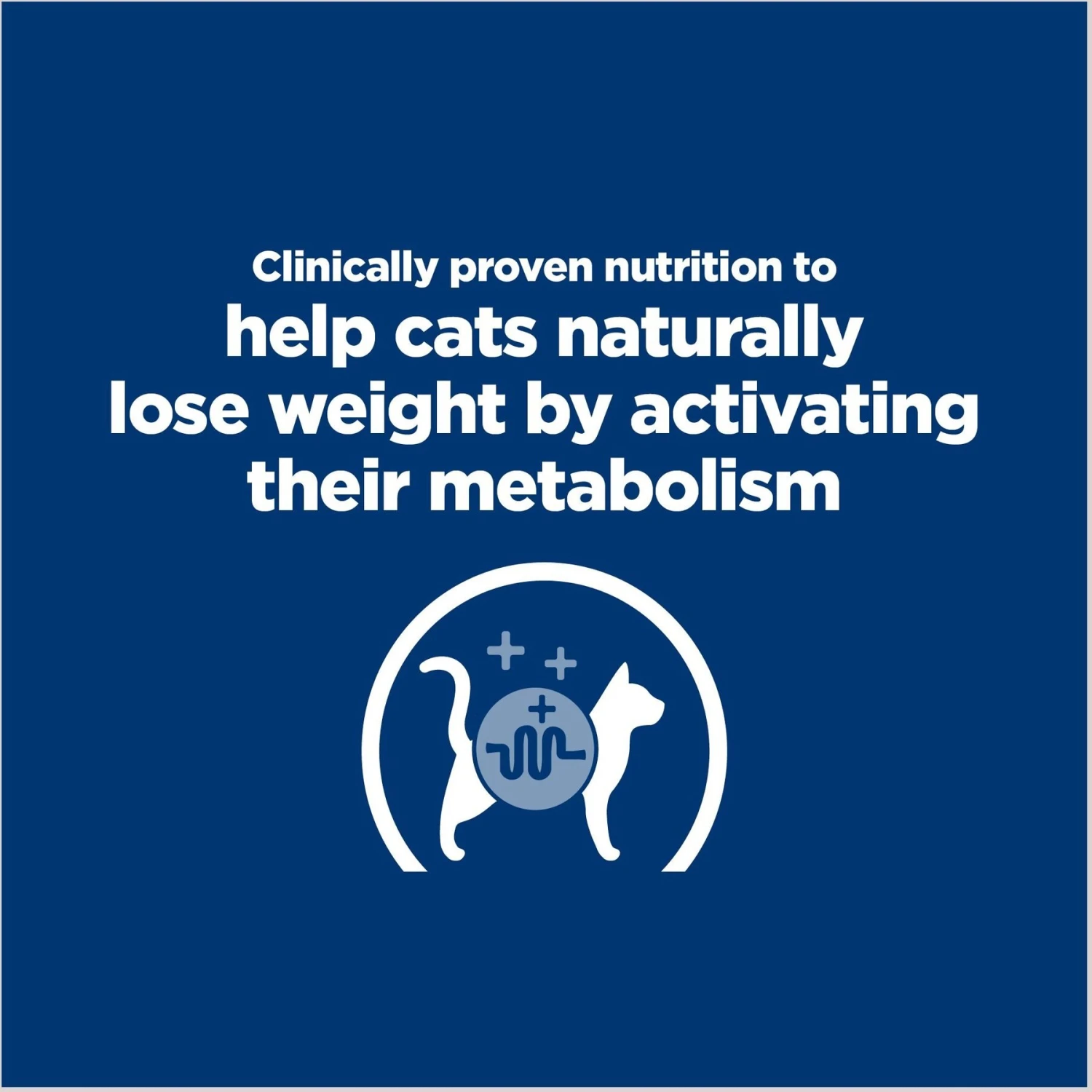 Hill's Prescription Diet Metabolic Chicken Flavor Dry Cat Food 5 Hill's Prescription Diet Metabolic Chicken Flavor Dry Cat Food - Image 3