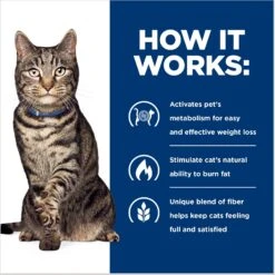 Hill's Prescription Diet Metabolic Chicken Flavor Dry Cat Food 16 Hill's Prescription Diet Metabolic Chicken Flavor Dry Cat Food -Blue Buffalo Shop 69812 PT5. AC SS1800 V1668547936