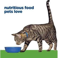 Hill's Prescription Diet Metabolic Chicken Flavor Dry Cat Food 17 Hill's Prescription Diet Metabolic Chicken Flavor Dry Cat Food -Blue Buffalo Shop 69812 PT6. AC SS1800 V1668550702