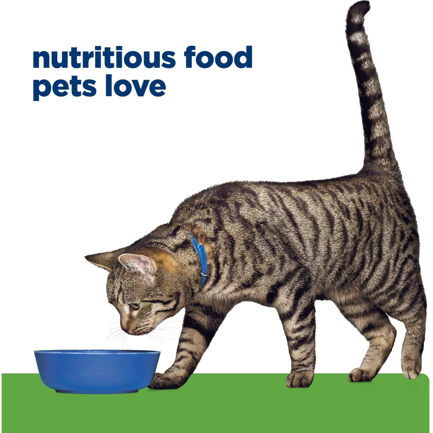 Hill's Prescription Diet Metabolic Chicken Flavor Dry Cat Food 9 Hill's Prescription Diet Metabolic Chicken Flavor Dry Cat Food - Image 7