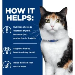 Hill's Prescription Diet Y/d Thyroid Care Original Flavor Dry Cat Food -Blue Buffalo Shop 69818 PT3. AC SS1800 V1651178544