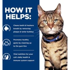 Hill's Prescription Diet T/d Dental Care Chicken Flavor Dry Cat Food -Blue Buffalo Shop 69828 PT4. AC SS1800 V1650987688