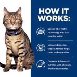 Hill's Prescription Diet T/d Dental Care Chicken Flavor Dry Cat Food -Blue Buffalo Shop 69828 PT5. AC SS1800 V1650994886