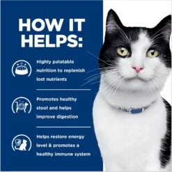 Hill's Prescription Diet I/d Digestive Care With Chicken Wet Cat Food 16 Hill's Prescription Diet I/d Digestive Care With Chicken Wet Cat Food -Blue Buffalo Shop 69849 PT5. AC SS1800 V1687986039
