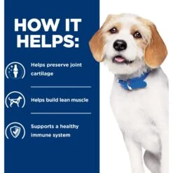 Hill's Prescription Diet J/d Joint Care Small Bites Chicken Flavor Dry Dog Food -Blue Buffalo Shop 69859 PT3. AC SS1800 V1687986520