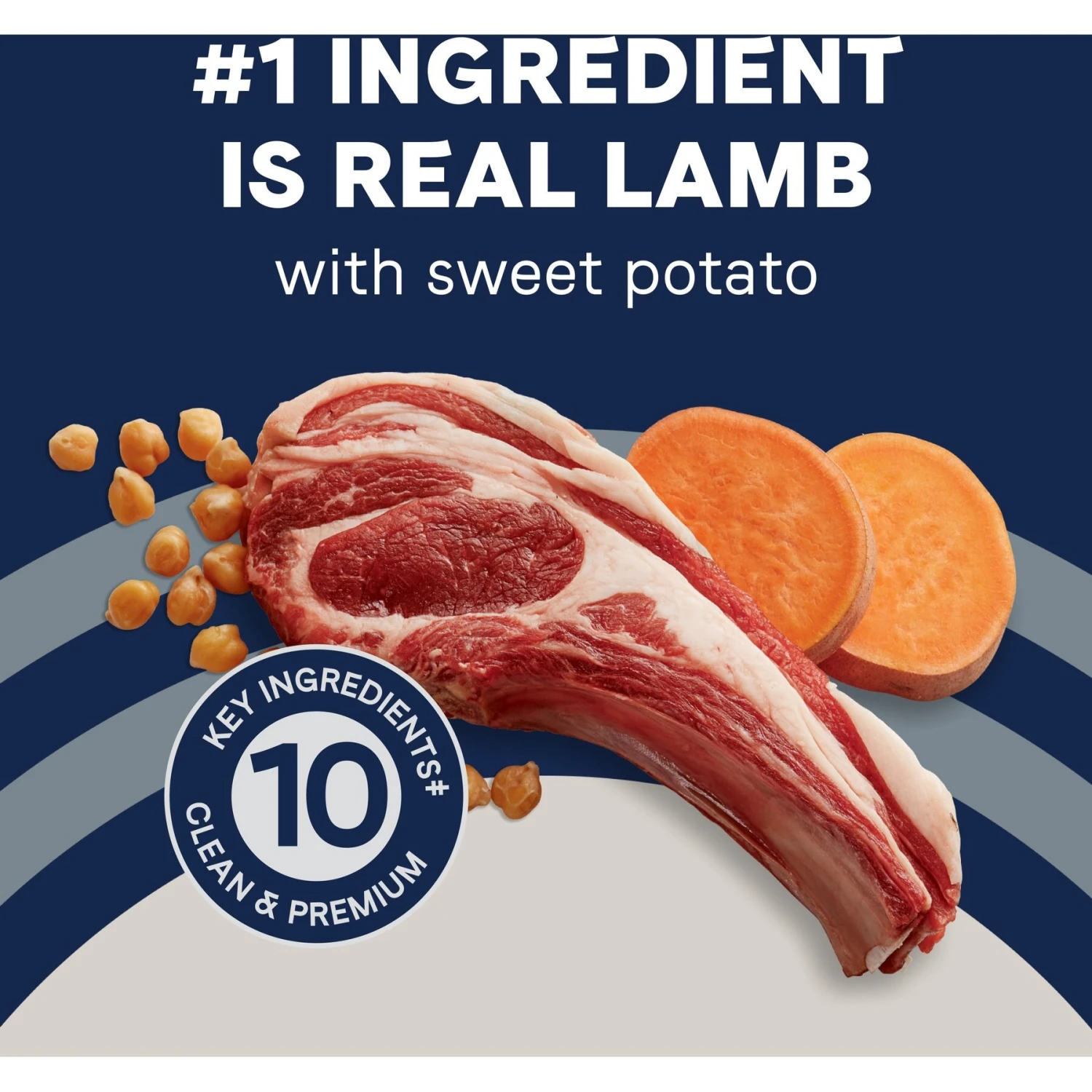 CANIDAE Pure Goodness Real Lamb & Sweet Potato Recipe Adult Dry Dog Food 7 CANIDAE Pure Goodness Real Lamb & Sweet Potato Recipe Adult Dry Dog Food - Image 5