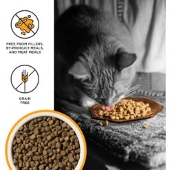 BIXBI Liberty Kitten Health Chicken Recipe Grain-Free Dry Cat Food -Blue Buffalo Shop 703646 PT2. AC SS1800 V1667863182