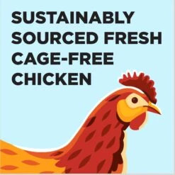 BIXBI Liberty Kitten Health Chicken Recipe Grain-Free Dry Cat Food -Blue Buffalo Shop 703646 PT3. AC SS1800 V1667863901