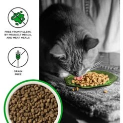 BIXBI Liberty Digestive Health Chicken Recipe Grain-Free Dry Cat Food -Blue Buffalo Shop 703694 PT2. AC SS1800 V1667863897