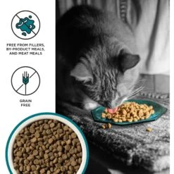 BIXBI Liberty Indoor Health Chicken & Salmon Recipe Grain-Free Dry Cat Food 11 BIXBI Liberty Indoor Health Chicken & Salmon Recipe Grain-Free Dry Cat Food -Blue Buffalo Shop 703718 PT2. AC SS1800 V1667863358