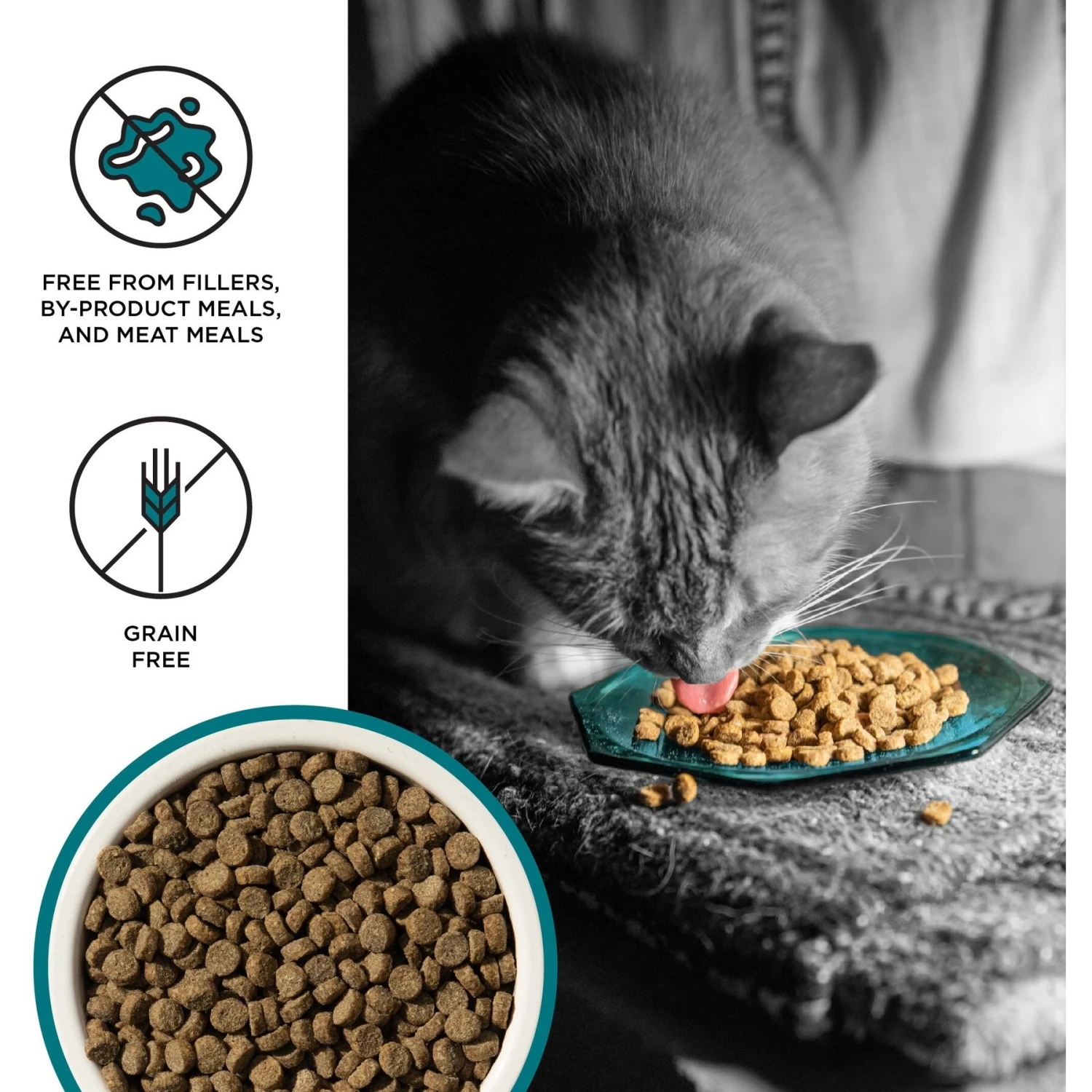 BIXBI Liberty Indoor Health Chicken & Salmon Recipe Grain-Free Dry Cat Food 5 BIXBI Liberty Indoor Health Chicken & Salmon Recipe Grain-Free Dry Cat Food - Image 3