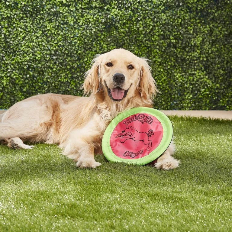 Blue Buffalo Shop -Blue Buffalo Shop 70599 PT1. AC SS1800 V1534452140 768x768 1