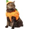 Frisco Pumpkin Ball Dog & Cat Costume 2 Frisco Pumpkin Ball Dog & Cat Costume -Blue Buffalo Shop 708902 MAIN. AC SS1800 V1689351821