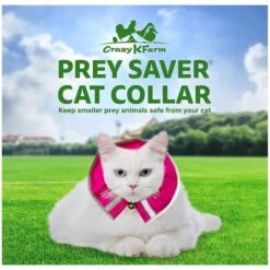 Prey Saver Break Away Cat Collar, One Size 9 Prey Saver Break Away Cat Collar, One Size -Blue Buffalo Shop 710062 PT2. AC SS1800 V1668809602