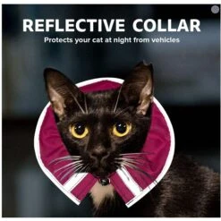 Prey Saver Break Away Cat Collar, One Size 11 Prey Saver Break Away Cat Collar, One Size -Blue Buffalo Shop 710062 PT4. AC SS1800 V1668809602