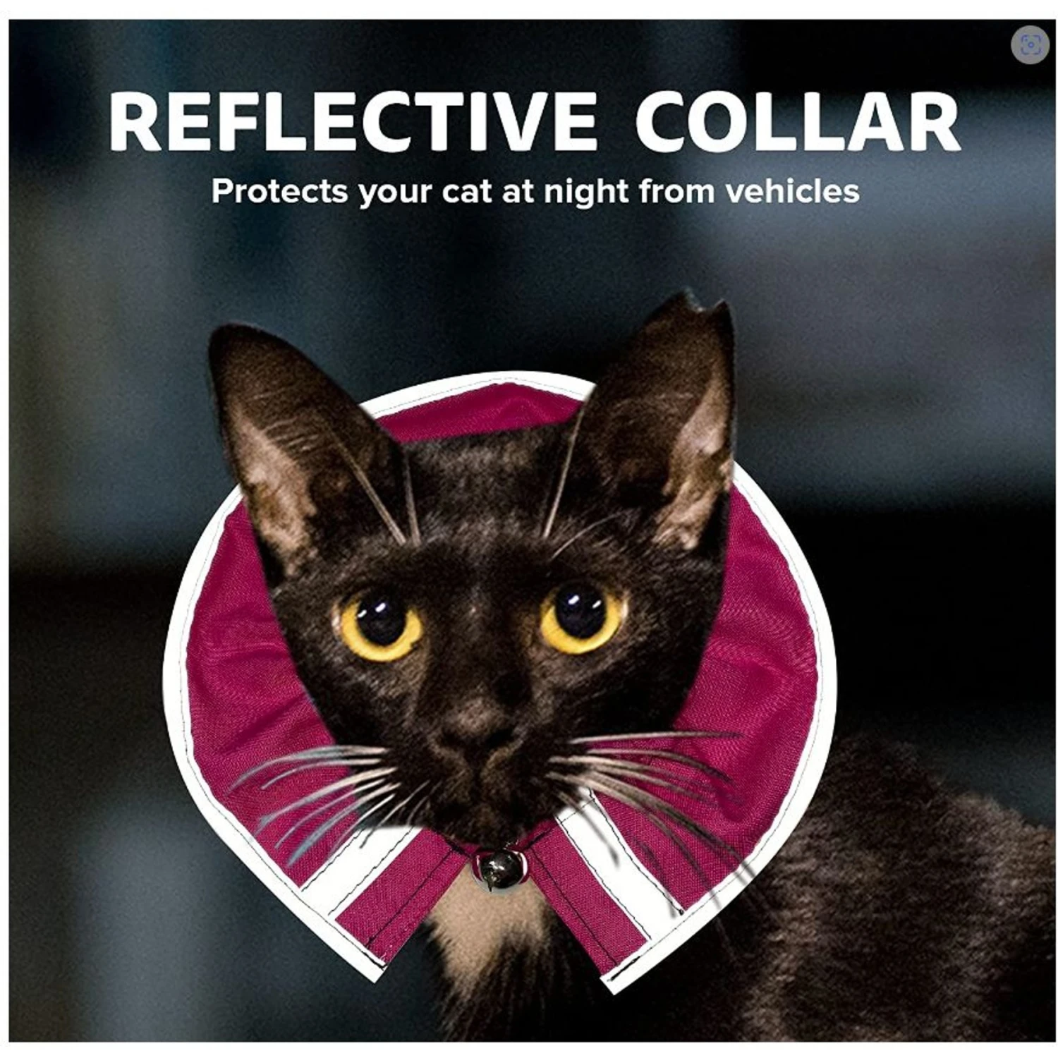 Prey Saver Break Away Cat Collar, One Size 6 Prey Saver Break Away Cat Collar, One Size - Image 4