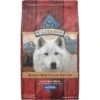 Blue Buffalo Wilderness Rocky Mountain Recipe Senior High Protein Natural Red Meat & Grain Dry Dog Food, 28-lb Bag -Blue Buffalo Shop 711326 MAIN. AC SS1800 V1694547153