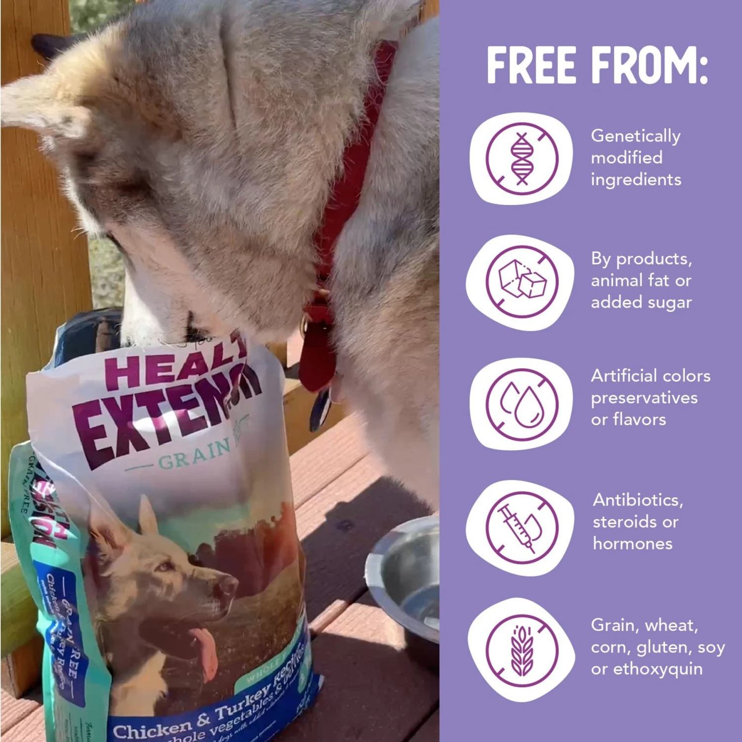 Health Extension Grain-Free Chicken & Turkey Recipe Dry Dog Food 8 Health Extension Grain-Free Chicken & Turkey Recipe Dry Dog Food - Image 6