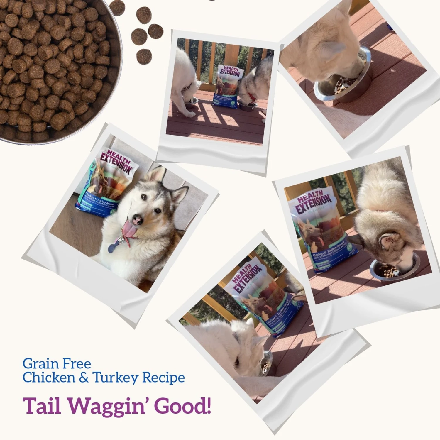 Health Extension Grain-Free Chicken & Turkey Recipe Dry Dog Food 10 Health Extension Grain-Free Chicken & Turkey Recipe Dry Dog Food - Image 8