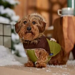 Frisco Heavy Weight 2-Tone Sherpa Lined Hybrid Quilted Dog & Cat Parka -Blue Buffalo Shop 718038 PT7. AC SS1800 V1692378337