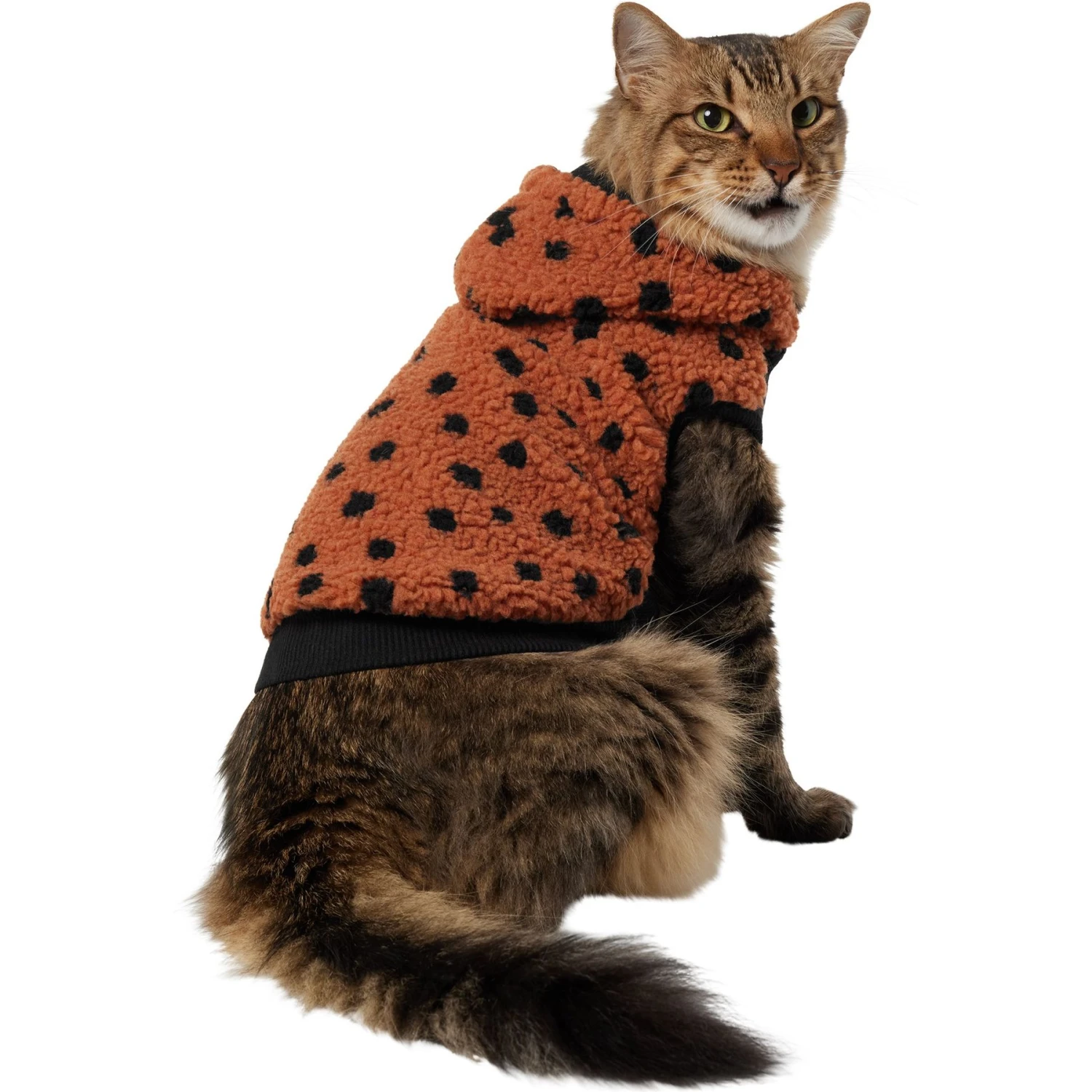 Frisco Dotted Dog & Cat Hoodie 3 Frisco Dotted Dog & Cat Hoodie