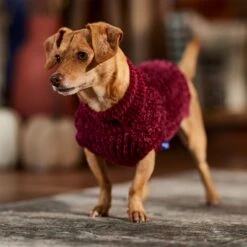 Frisco Cozy Textured Chenille Dog & Cat Sweater -Blue Buffalo Shop 718614 PT7. AC SS1800 V1692378337