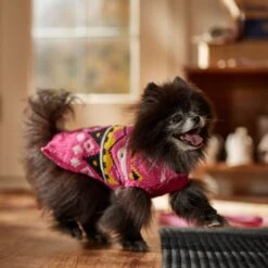 Frisco Bold Nordic V-Neck Dog & Cat Sweater -Blue Buffalo Shop 718710 PT7. AC SS1800 V1692377763